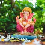 Sudha Patel - @sudhapatel534 - Instagram