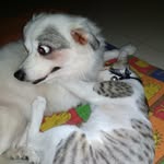 Sudip Bose - @sudip_bose - Instagram