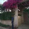 sudipta  paul - @sudiptapaul011 - TikTok