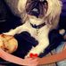 Sue Adamson - Facebook