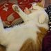 Sue Adkins - Facebook