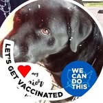 Sue Adkins - @suead.kins - Instagram