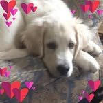 Sue Adkins - @sue.adkins.965 - Instagram