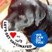 Sue Adkins - Facebook