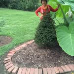 Sue Albright - @sueallbrite - Instagram