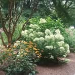 Sue Albright - Facebook