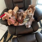 Sue Schwandt Albright - @schwandtalbright - Instagram