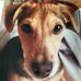 Susan Aldinger - Facebook