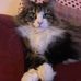 Sue Appleby - Facebook