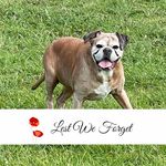 Sue Appleby - @appleby570 - Instagram
