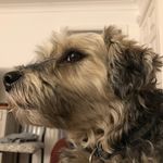 Sue and Henry - @sue_ashby - Instagram