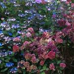 Sue Ashby - @sashby2019 - Instagram