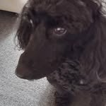 Sue Kelly - @sue.ashby.963 - Instagram