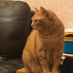 Sue Baird - @baird_sue - Instagram
