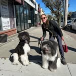 Sue Bard - @sue.bard.927 - Instagram