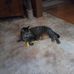 Sue Bard - Facebook