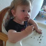 @sue_barden - Instagram