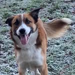 Sue Barrell - @sue_dut - Instagram