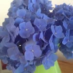 Sue Baskins - @suebaskins - Instagram