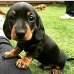 Sue Bauer - @sue_bauer55 - Instagram