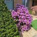 Sue Baughman - Facebook