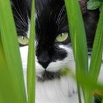 Sue Bean - @sue.bean - Instagram