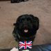 Sue Bean - Facebook
