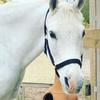 Linda Sue Belanger - @lindasuebelanger9881 - TikTok