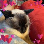 Sue Belanger - @what_name_can_i_pick - Instagram