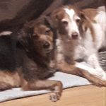 Susan Eileen - @sue.belanger1 - Instagram