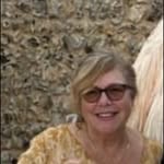 Sue Bergquist - @suebergquistartist - Instagram