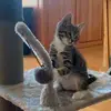 user5248226052629 - @suebergstrom - TikTok