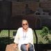 Sue Mitchell Blue - Facebook