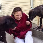 Sue Bogle - Facebook