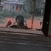 suebogle813 - @suebogle.1 - TikTok