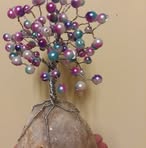 Sue Borst - Facebook