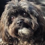 Sue Boston Arnold - @ssnhappy50 - Instagram