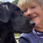 Sue Bowden-Ruddock - @sue_bowden123 - Instagram