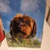 suebowden74 - @suebowden74 - TikTok