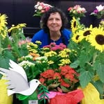 Sue Boyle - @boyle2324 - Instagram
