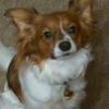 Sue Brandoff - @sue.brandoff - TikTok