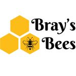 Sue Bray - @braysbees - Instagram
