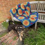 Sue Bray - @sue.bray62 - Instagram