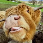 Sue Bright - @bright.sue - Instagram