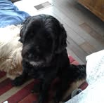 Sue Britton - Facebook