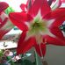 Sue Broadhead - Facebook