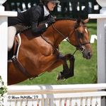Sue Browning - @s_browning1 - Instagram