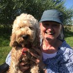 Sue Browning - @sue_browning_ - Instagram