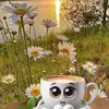 Diana Sue Deats-Brunner - @diana.sue.deatsbr - TikTok