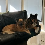 Sue Brunner - @sbrunner123 - Instagram